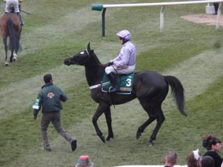 Race 1 Forgotten Voice r.jpg