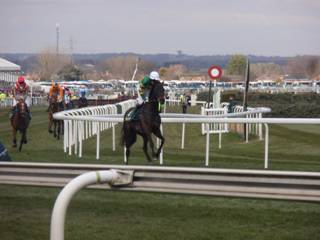 race 5 b r.jpg