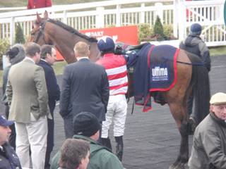 race 6 d r.jpg