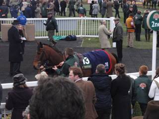 race 7 a r.jpg