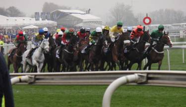 Race 7 q r.jpg