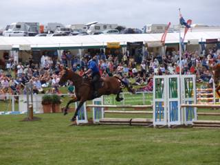 Relay z97.jpg