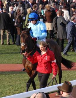 Cheltenham Day 1 l r.jpg