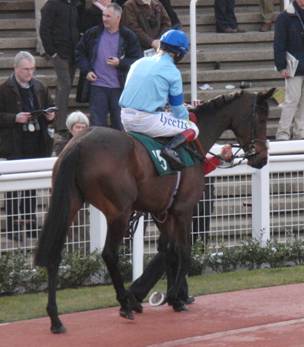 Cheltenham Day 1 n r.jpg