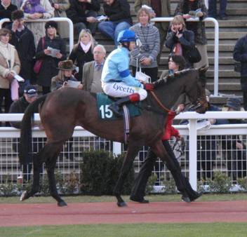 Cheltenham Day 1 o r.jpg