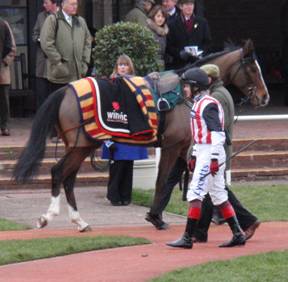 cheltenham 29 Jan 2011 b r.jpg