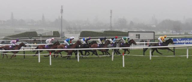 Cheltenham 2011 Day 2 d r.jpg