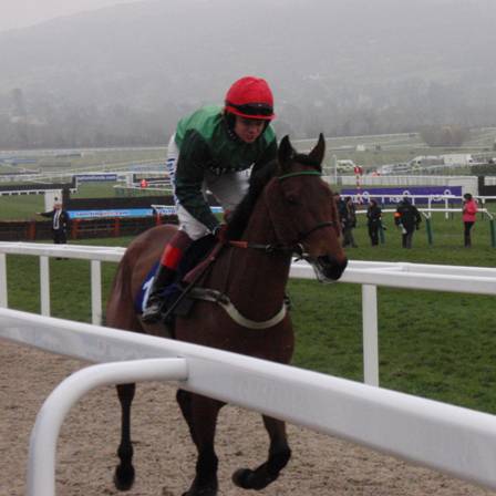Cheltenham 2011 Day 2 k r.jpg