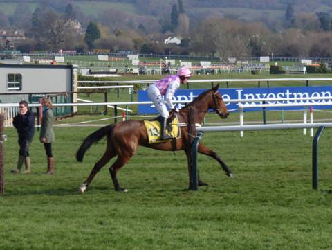 Cheltenham 2011 Day 3 b r.jpg