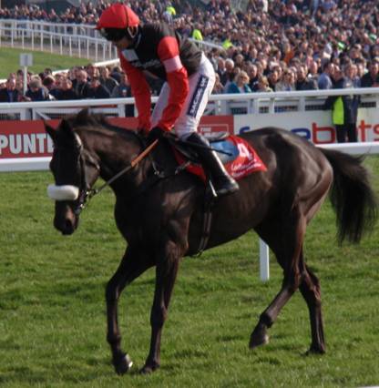Cheltenham 2011 Day 3 g r.jpg