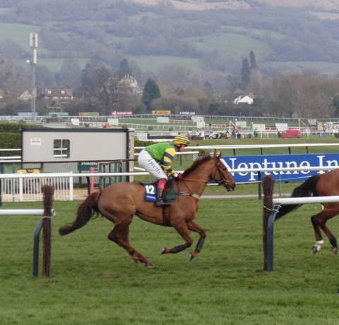 Cheltenham 2011 Day 3 k r.jpg
