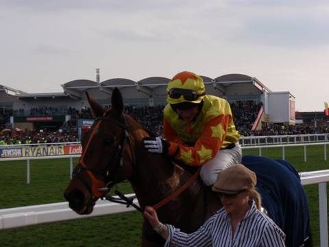 Cheltenham 2011 Day 3 m r.jpg