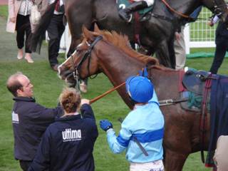 Race 5 l.jpg