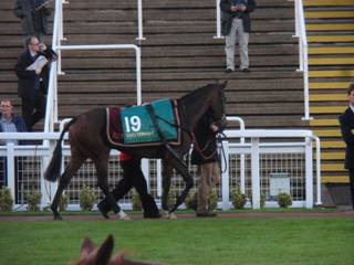 race 7 b innocent girl.jpg