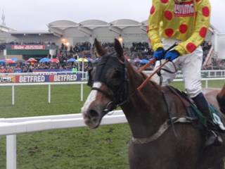 Race 7 g r.jpg