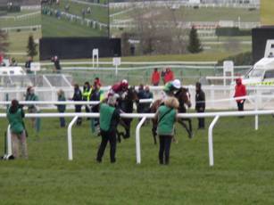 Race 1 m.jpg