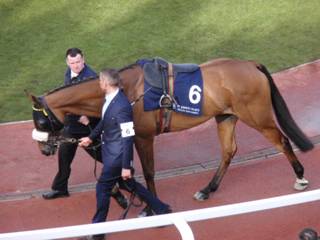 6 Foxrock 1.jpg