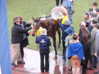 winner Pacha Du Polder 3.jpg
