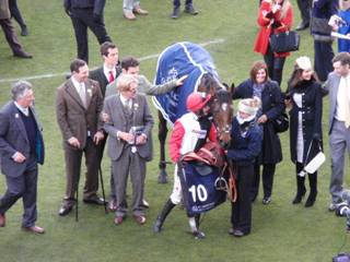 winner Pacha Du Polder 4.jpg
