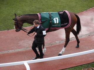 17 Lough Derg Spirit 3.jpg