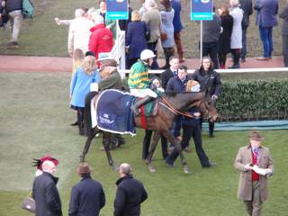 4th placed Sire De Berlais.jpg
