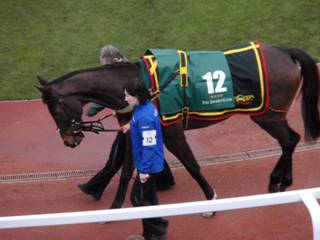 12 Sizing Platinum 1.jpg