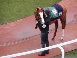 10 Valdez 4.jpg