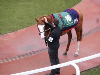 10 Valdez 5.jpg