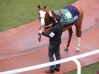 10 Valdez 7.jpg