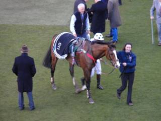 2nd placed Gino Trail 1.jpg