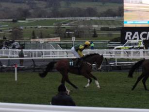race 6 a.jpg