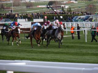 RACE 2 C.jpg