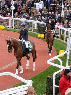 ROR l The Giant Bolster & B King.jpg