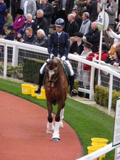 ROR s The Giant Bolster.jpg