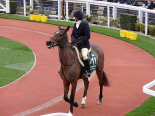 ROR x Balthazar King.jpg