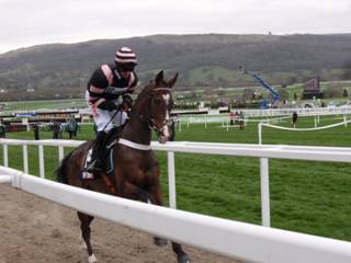 Race 1 e River Wylde.jpg