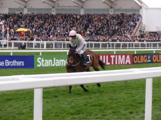 Race 2 c Royal Caviar.jpg