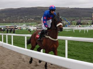 Race 3 e Theatre Guide.jpg