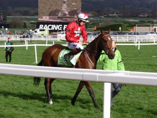 Race 4 i The New One.jpg