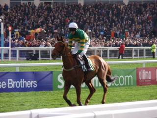 Race 4 m Yanworth.jpg