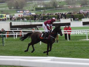 Race 5 a Apples Jade.jpg