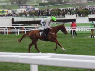 Race 5 c Limini.jpg