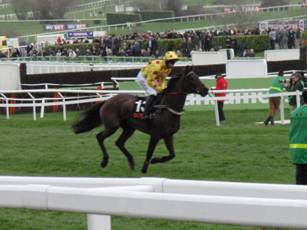 Race 5 d Miss Crick.jpg