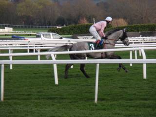 Race 6 a Arpege D Alene.jpg
