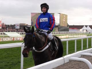 Race 6 f Beware The Bear.jpg