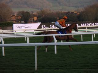 Race 7 a Double Ws.jpg