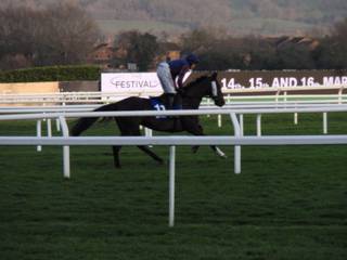 Race 7 b Its afreebee.jpg