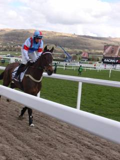 Race 1 a Simply The Betts.jpg