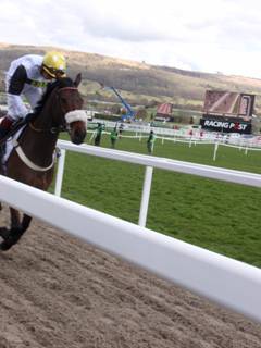 Race 1 b Western Ryder.jpg