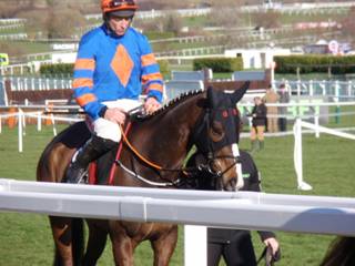 Race 4 j Mick Jazz.jpg